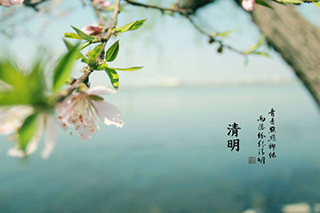 聚之唯2019年清明节放假通知